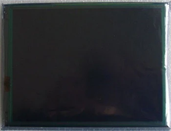 AM-800600K7TMQW-TA1H LCD Displej Panel